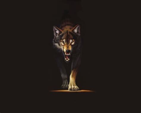We have a massive amount of desktop and mobile backgrounds. 10 Most Popular Hd Wolf Wallpapers 1080P FULL HD 1080p For ...