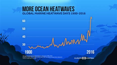Ocean Heatwaves Climate Central