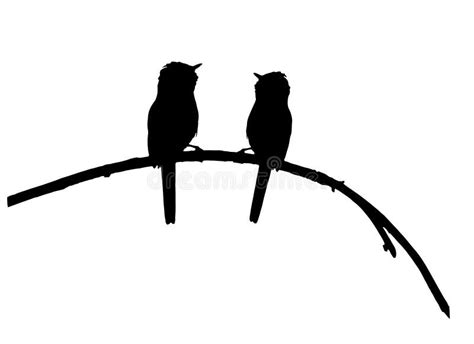 2 Two Couple Pair Birds On Branch Silhouette Stock Illustration