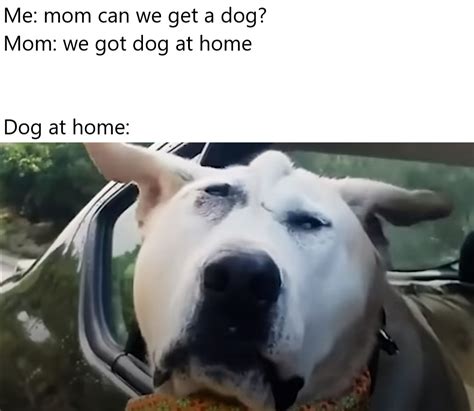 We Got Food At Home Meme Takeoutmoms