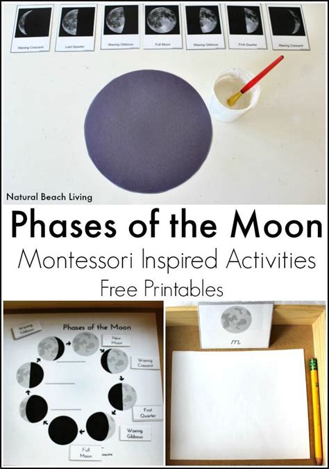 Moon Activities Montessori Astronomy Moon Activities Preschool