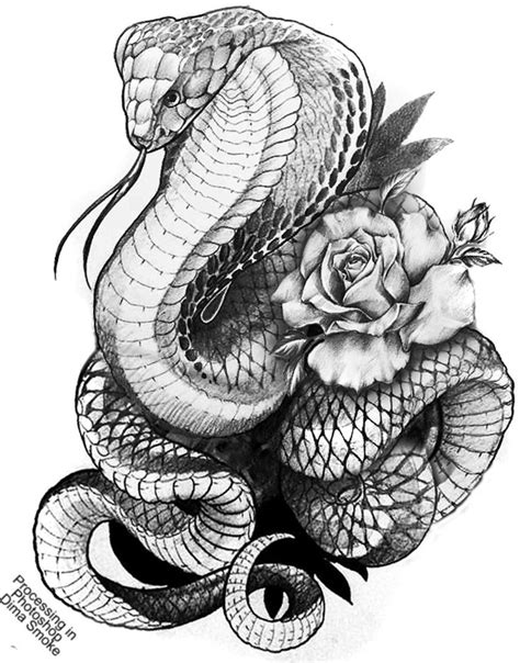 Snake Tattoo Drawing ~ Anaconda Hearthstone Schlange Warcraft Snake