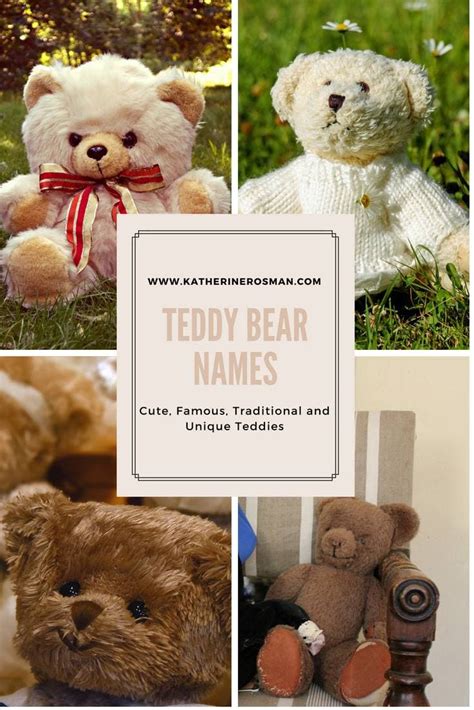 89 Teddy Bear Names Cute Famous Traditional And Unique Teddies