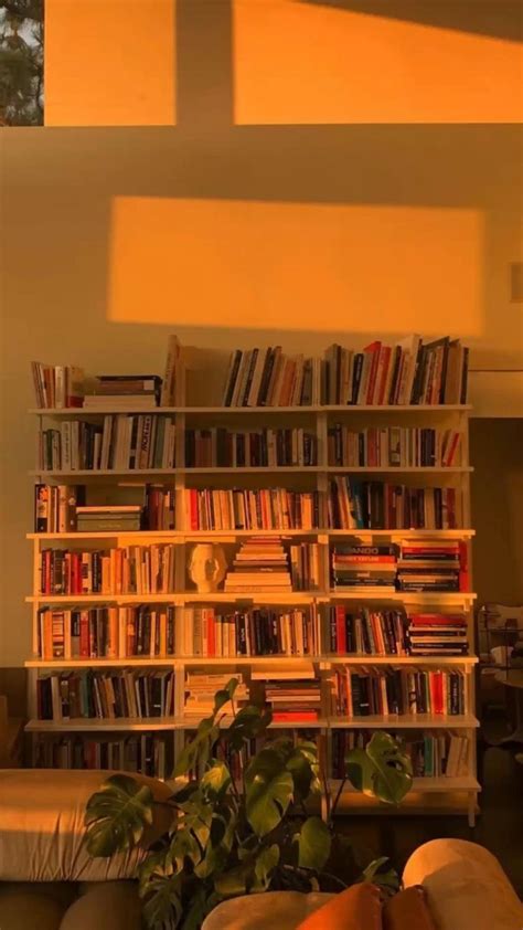Aesthetic Bookshelf Booktok Books Reading Organization Bookshelf Ideas
