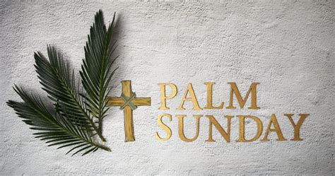 Incredible Compilation Of Over 999 Palm Sunday Images Including