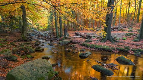 Hd Wallpaper Harz National Park In Autumn Saxony Anhalt Germany