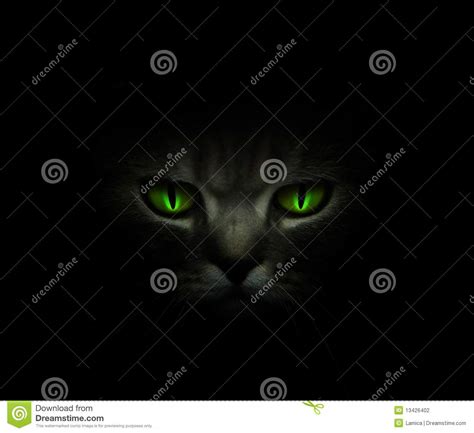 Green Cat S Eyes Glowing In The Dark Stock Photo Image Of Face