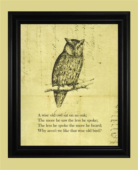 Vintage Owl Illustration Wise Old Owl Drawing Hoot Owl Art Print With