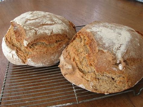 Ingredients german whole grain bread. Whole Grain German Rye Bread Recipe (Graubrot)