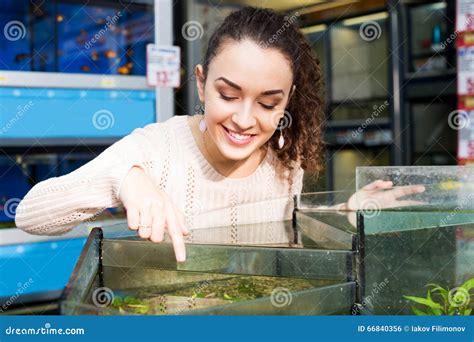 Positive Young Woman Selecting Aquarium Fish Stock Photo Image Of