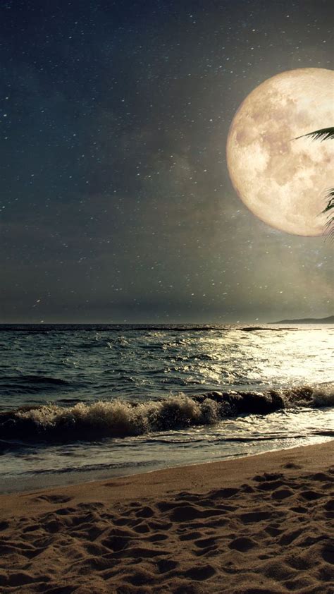 Beach Moon Wallpaper