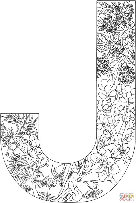 The letter j coloring sheets will ensure that your kid enjoys coloring, while learning a few interesting things. Letter J with Plants coloring page | Free Printable ...