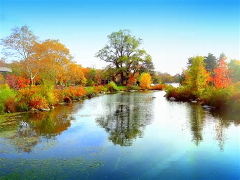 Wallpaper Reflection Nature Waterway Leaf Autumn Pond Bank