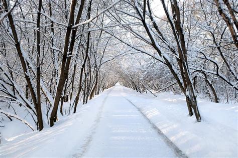 Beautiful Landscape With A Straight Snow Covered Path In The Park Among