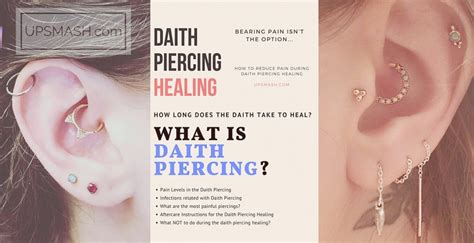 Daith Piercing Pain Level Verzameling
