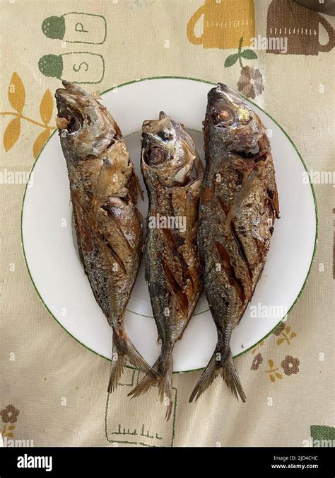 Photo Of Fried Tamarong Matambaka Mackerel Scad Or Decapterus