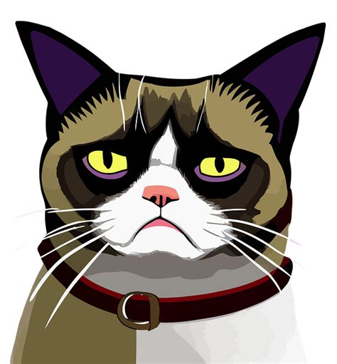 50 Free Grumpy Cat And Grumpy Images Pixabay