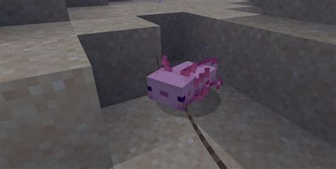 Axolotl En Minecraft Todo Lo Que Los Jugadores Deben Saber Tecnopasion