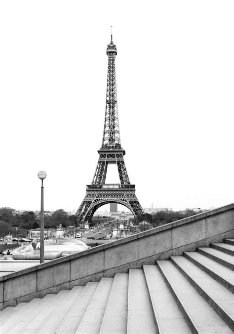 Black And White Eiffel Tower As Seen From Trocadero Steps Paris