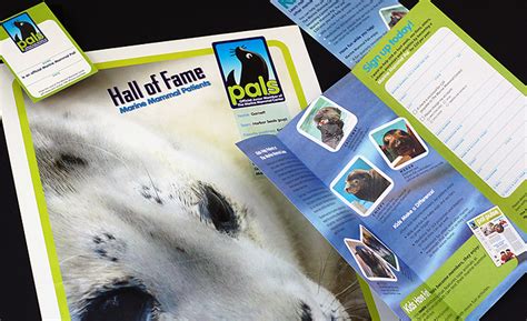 Karier Design » Marine Mammal Center