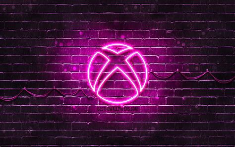 Xbox Purple Logo Purple Brickwall Xbox Logo Brands Xbox Neon Logo