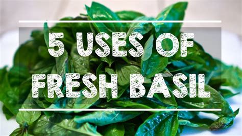 5 Uses Of Fresh Basil Youtube
