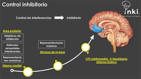 Controle Inibitório O Que é