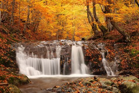 Autumn Waterfall Coloured Wood Woodland Scenery Nature Picture Autumn