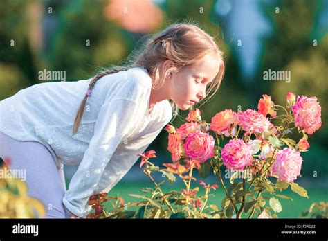 Little Adorable Girl Smelling Colorful Flowers At Summer Day Stock