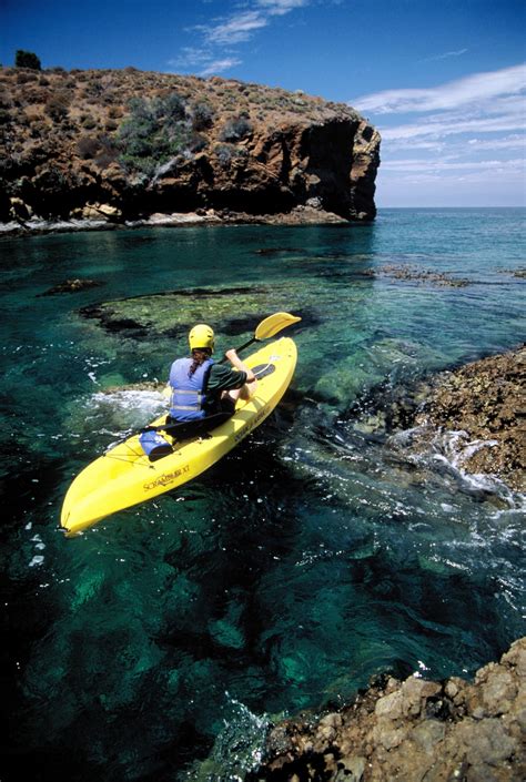 Kayak Tours Channel Islands Adventure Company Kayaking And Snorkel
