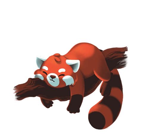 Clip Art Red Panda 20 Free Cliparts Download Images On Clipground 2022