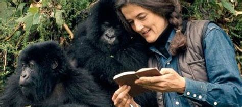 Dian observational study investigator resources. Dian Fossey, la mujer que más amo a los gorilas | MíraLES