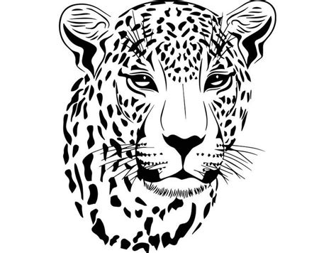Leopard Head Drawing Realistic Drawing Skill