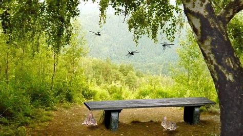 Looking for the best wallpapers? Nature Backgrounds HD Images - Wallpaper Cave