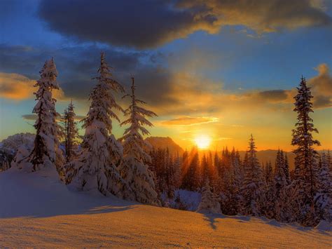 Free Download Winter Sunset Wallpapers Wallpaper Wallpaper Hd 1024x768
