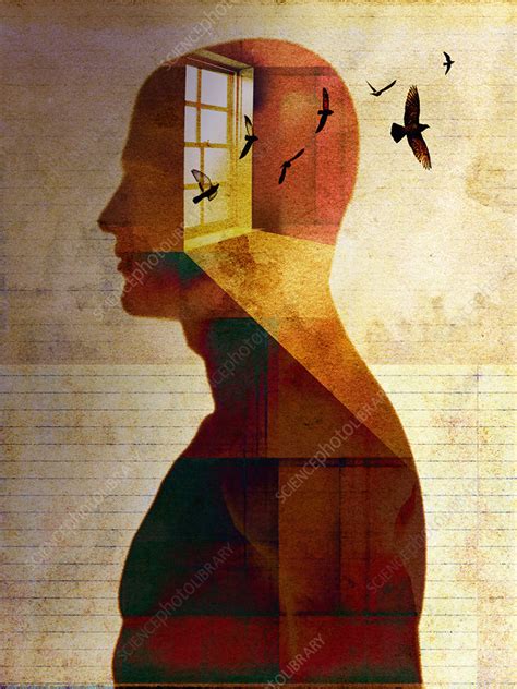 Introspective Man With Birds Inside Of Head Illustration Stock Image