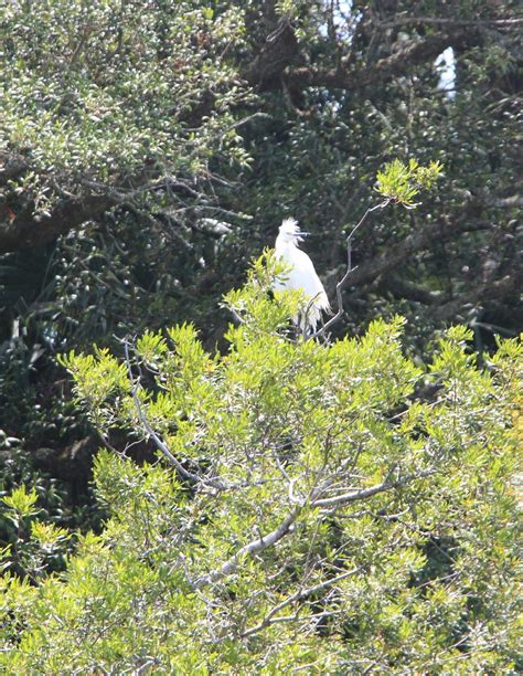 WILDLIFE SANCTUARY - Issuu