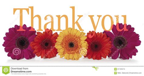 Understanding that here we have provided a thank you images with flowers which you can use it to express your gratitude. Saying Thank You With Flowers Stock Photo - Image of five ...
