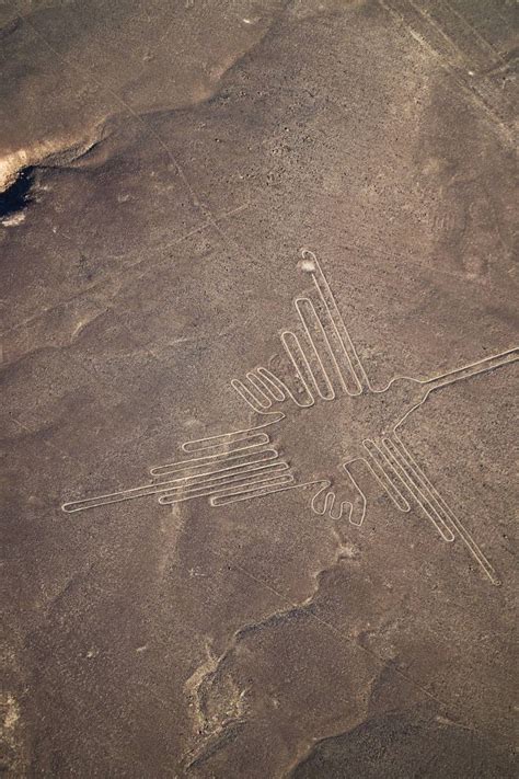 Imagen de Líneas de Nazca en Perú FOTO GRATIS 100030567