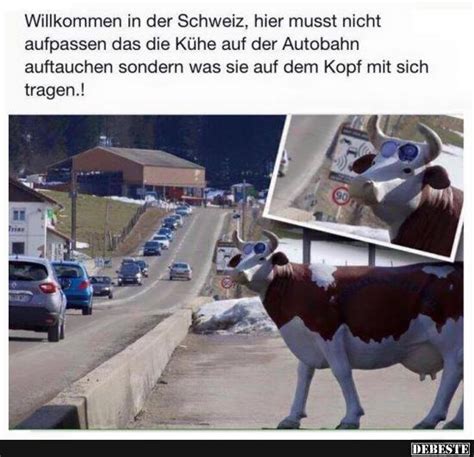 Kontaktiere den shop, um dich über. Willkomen in der Schweiz.. | Lustige Bilder, Sprüche ...
