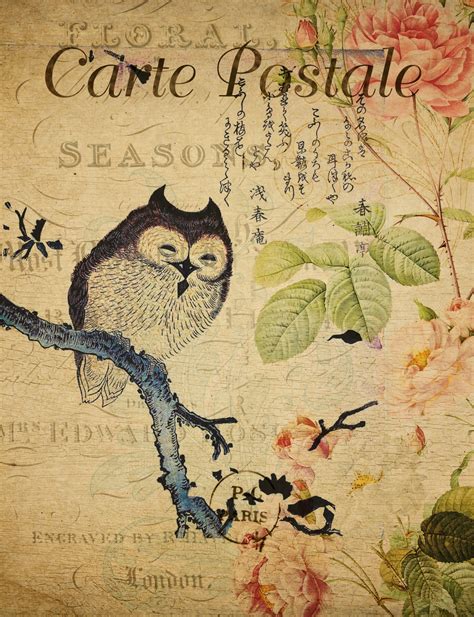 Retro and vintage stock photos #493386570. Owl Vintage French Postcard Free Stock Photo - Public ...