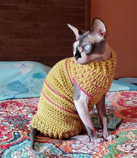 14 Free Crochet Cat Sweater Patterns Blitsy