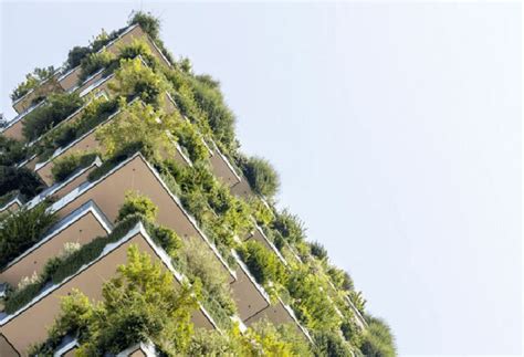 Arquitectura Sostenible Su Importancia En El Medio Ambiente