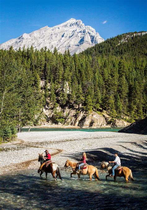 Banff Horseback Ride 1hr Spray River Discover Banff Tours