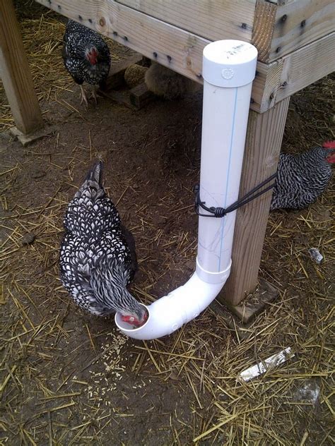 Its name in english is a (pronounced /ˈeɪ/), plural aes. 15 Creative PVC Pipe Projects For Your Yard and Garden