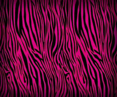 Zebra Wallpaper Best Wallpaper Collection 720×984 Zebra Wallpaper 49