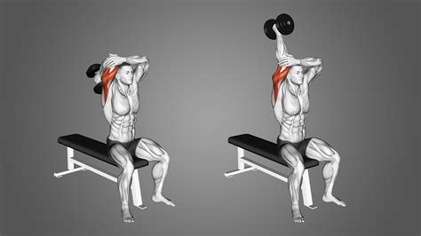 Tricep Overhead Extension Benefits Muscles Worked And More Inspire US