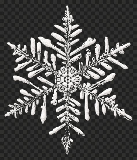 Realistic Snow Snowflake Shape Png Citypng
