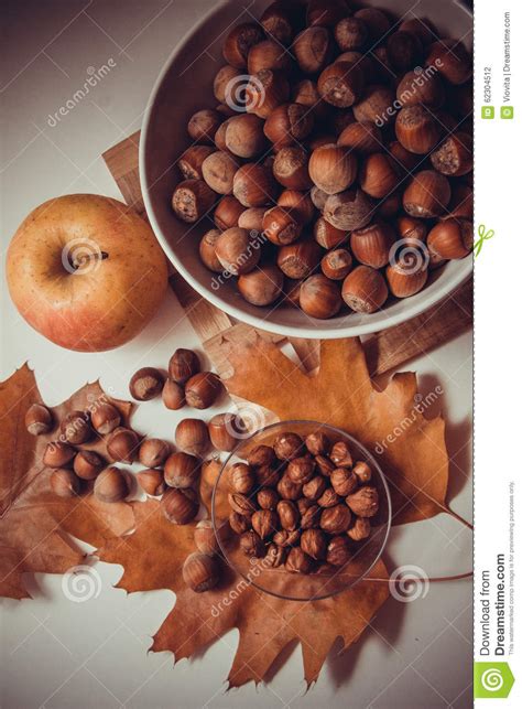 Vegetarian Proteins Hazelnuts Stock Photo Image Of Hardness
