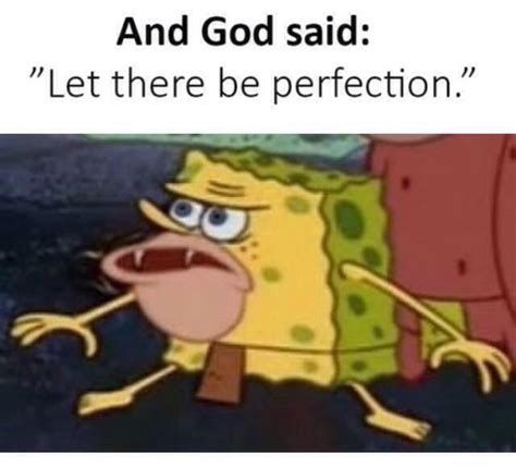 And God Said Let There Be Perfection Spongegar Primitive Sponge
